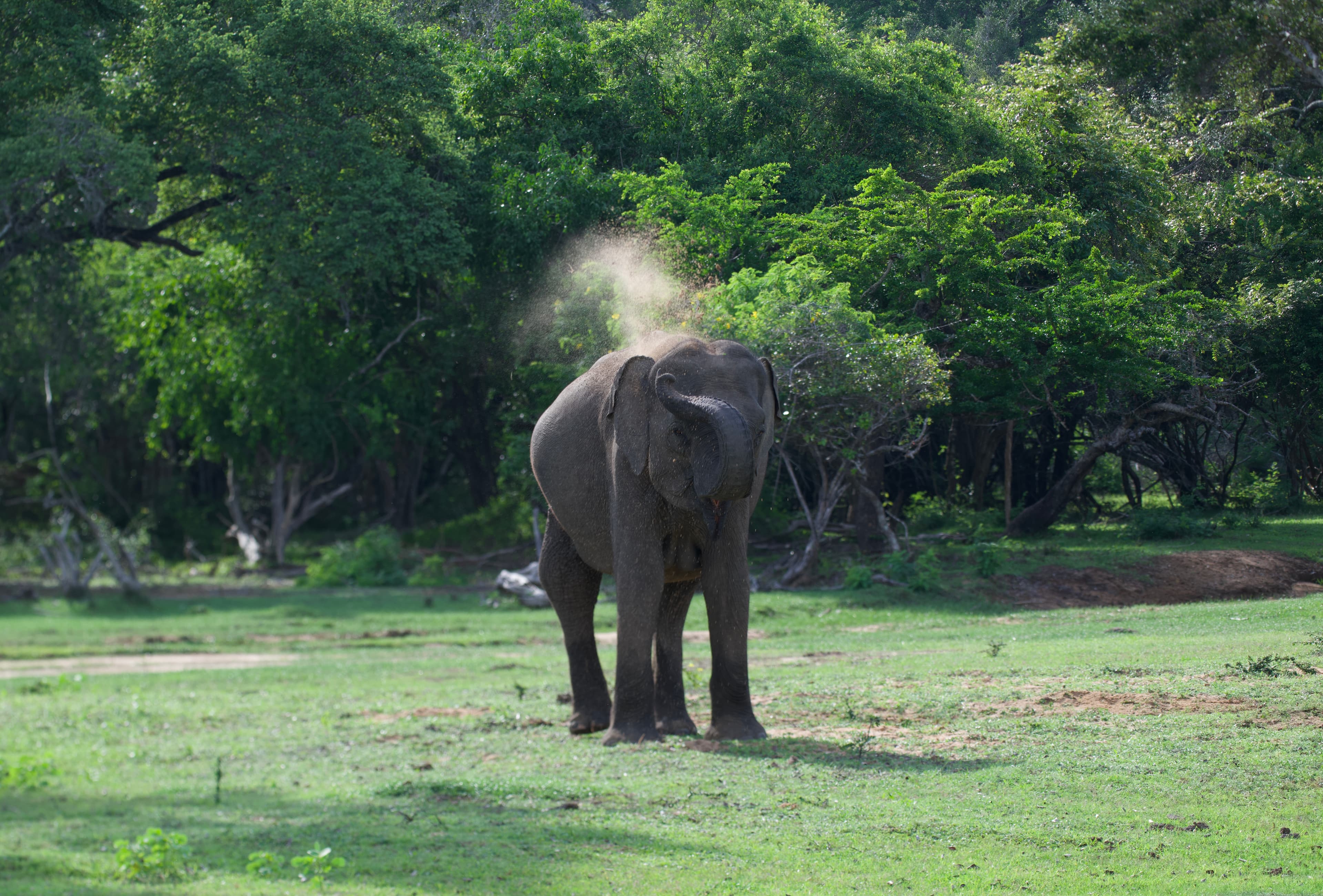 KUMANA NATIONAL PARK - 4