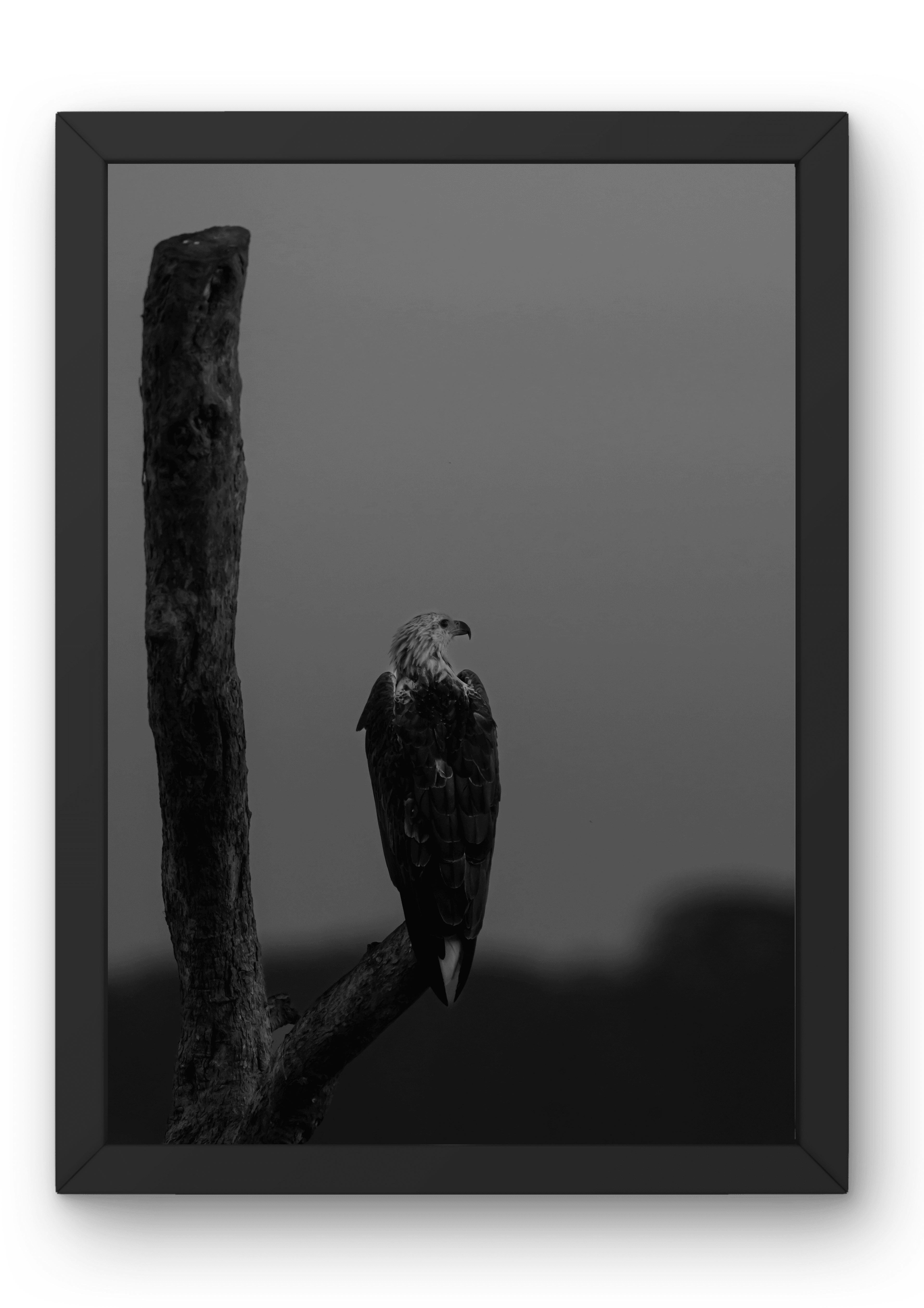 Watcher of Kumana